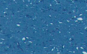 无碳同透型防静电卷材