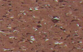 无碳同透型防静电卷材